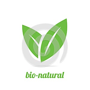 Eco icon green leaf vector illustration isolated