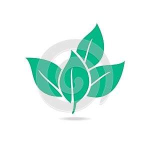 Eco icon green leaf vector illustration isolated.