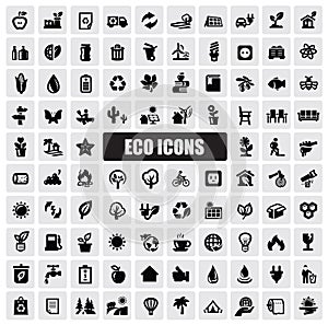 Eco icons photo