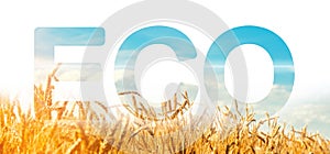 Eco inscription on the background of wheat plantation field. Environmentally friendly harvest, quality control and use of safe