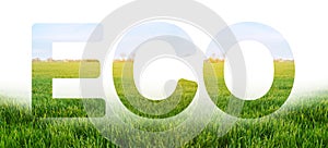 Eco inscription on the background of young green wheat plantation field. Environmentally friendly harvest, quality control