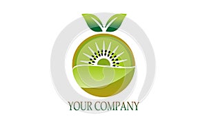 Eco kiwi fruit logo vector image illustration