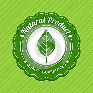 Eco label. Green logo. Natural product tag. Vector illustration.