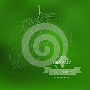 Eco label of Organic Standart. Concept.