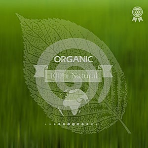 Eco label of Organic Standart. Concept. photo
