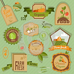 Eco labels vegetables vector design illustration