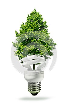 Eco lamp and tree