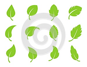 Eco leaf green color vector logo flat icon set. Isolated leaves shapes on white background. Bio plant and tree floral