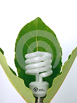 Eco Light Bulb