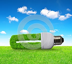 Eco light bulb in grass