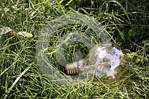 Eco light bulb on green grass