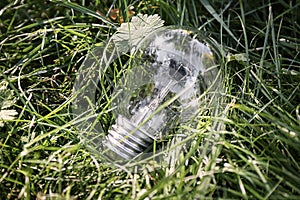 Eco light bulb on green grass