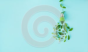 Eco lightbulb from green leaves top view. Renewable and saving energy concept. Ecology and environment sustainable resources