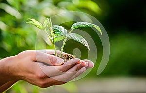 Eco living. farming and agriculture cultivation. Gardening. new life birth. plant in ground in hands. care plants. Eco