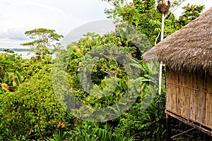 Eco Loge, National Park Yasuni photo