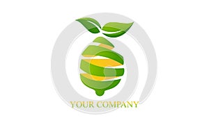 Eco mango fruit logo vector image illustration