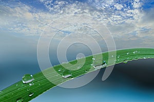 Eco Nature Background with  Cloud sky