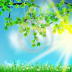 Eco nature / green and blue with sunshine.