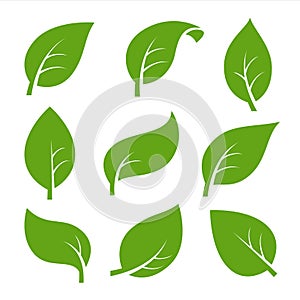 Eco nature green color leaf vector logo flat icon set