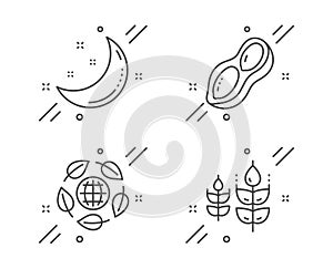 Eco organic, Peanut and Moon stars icons set. Gluten free sign. Bio ingredients, Vegetarian nut, Night. Vector