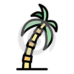 Eco palm tree icon color outline vector