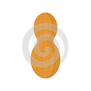 Eco peanut icon, flat style