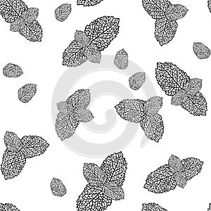 Eco peppermint leaves pattern, background with fresh mint leaves.