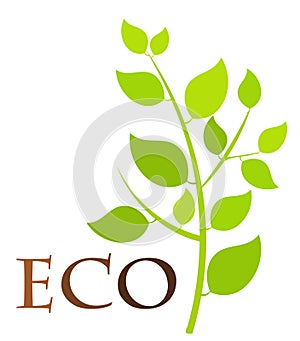 Eco plant