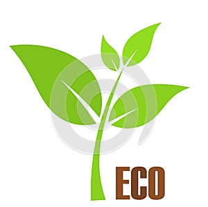 Eco plant photo