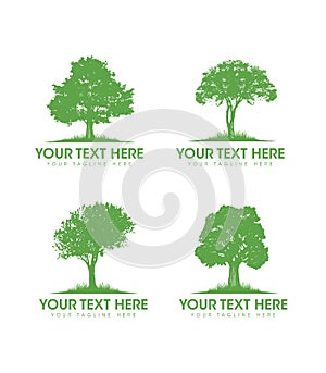 Eco Plant Care Arborist Tree Removal and Forestry Service. Gardening and Landscape Design Creative Organic Vector Sign