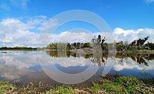 Eco Pond