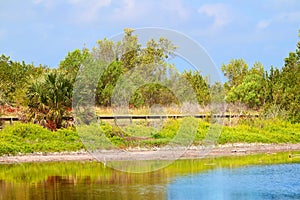 Eco Pond Everglades National Park