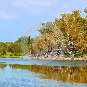 Eco Pond Everglades National Park