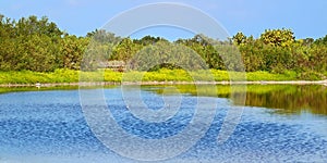 Eco Pond Everglades National Park