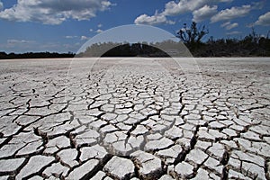 Eco Pond in Everglades National Park in extreme drought.