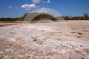 Eco Pond in Everglades National Park in extreme drought.