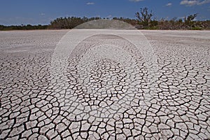 Eco Pond in Everglades National Park in extreme drought.