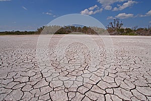 Eco Pond in Everglades National Park in extreme drought.