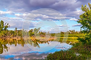 Eco Pond in Everglades National Park.Florida.USA
