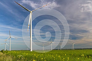 Eco power. Wind turbine field in Poland