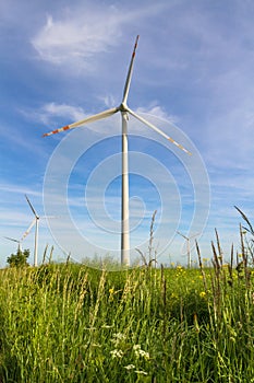 Eco power. Wind turbine field in Poland