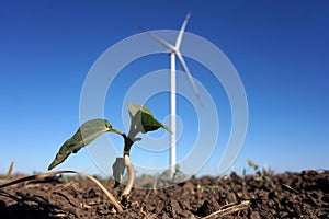 Eco power, wind turbines with blue sky. wind turbine for alternative electricity.renewable electric farm with sustainable eco