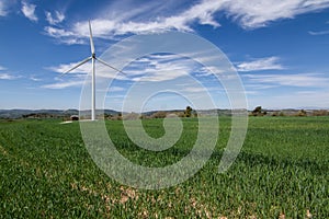 Eco power, wind turbines photo