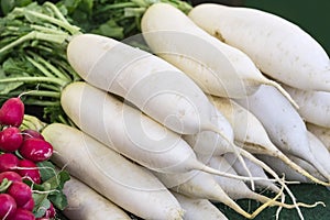 Eco radish on the market in Munich without GMOs.