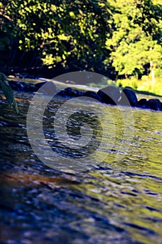 Eco river on the green park