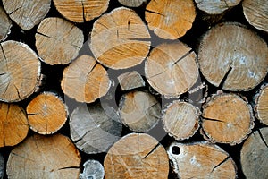 Eco rural lifestyle background with oak cut logs