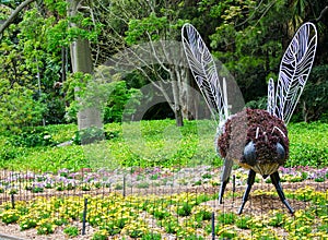 Eco-sculpture in Fly, insect-shaped, at Sydney Botanical garden for park decoration.