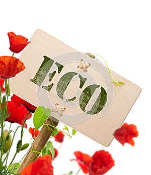 Eco sign, green plant and poppies