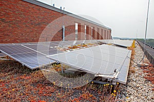 eco solar panels on the roof