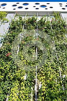 Eco structure